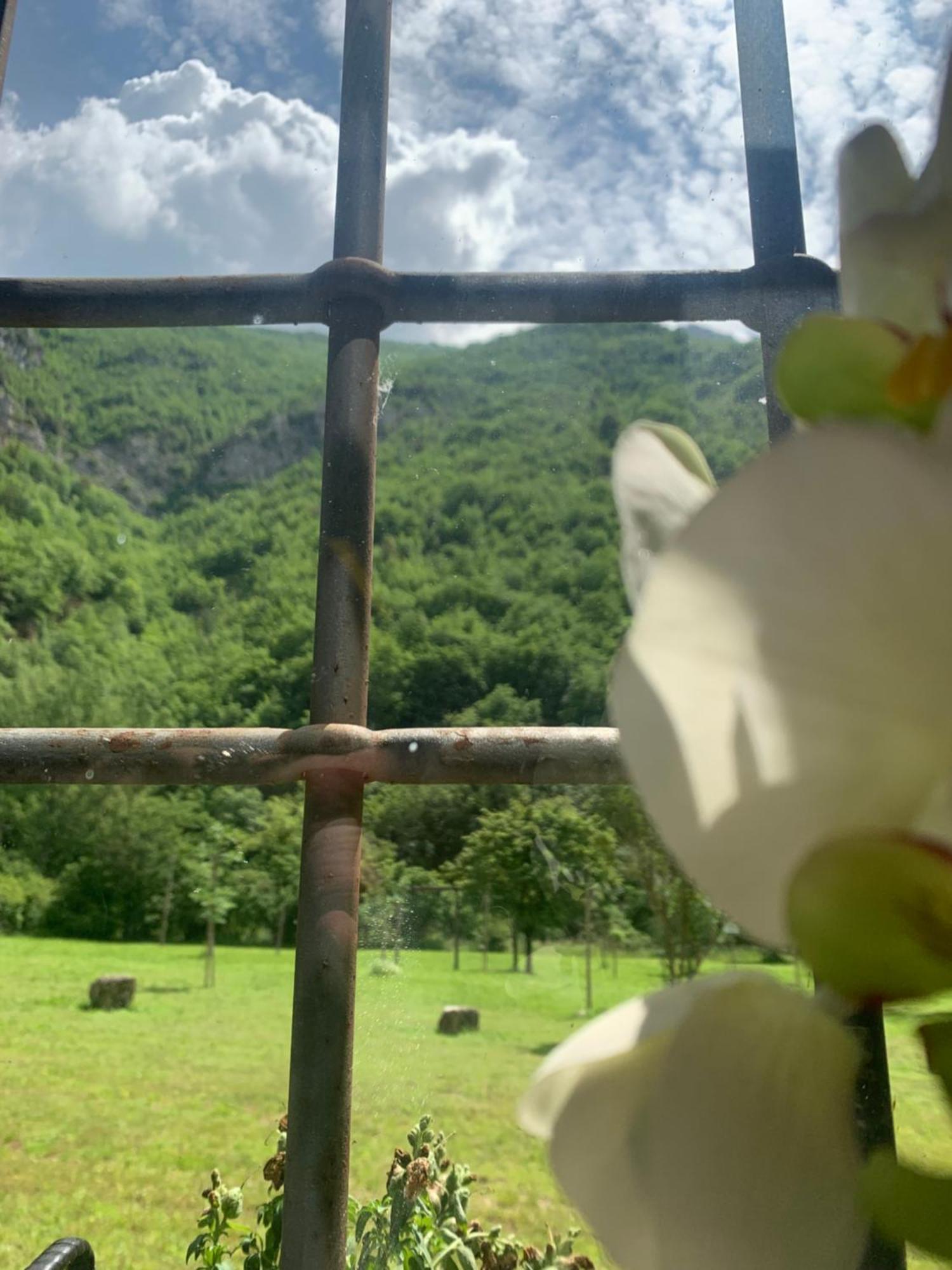 ホテル Abbazia Ss. Quirico E Giulitta Micigliano エクステリア 写真
